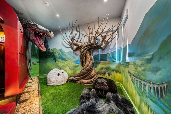 Lounge Around Your Forest on Hedwig or Your Spider Bean Bag Chair