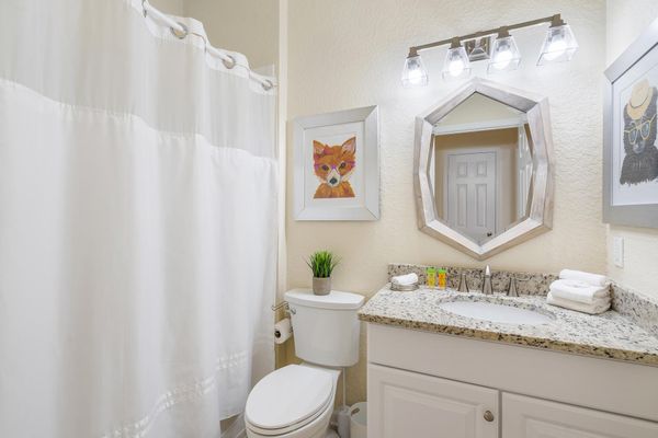 Hall Bathroom Downstairs 3 Tub/Shower Combo