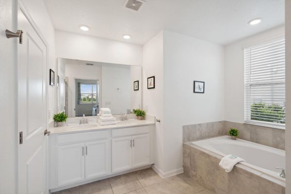 Master Bathroom 1 Tub