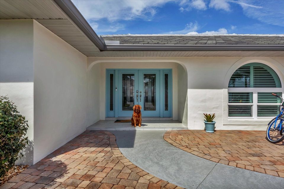 Dog-Friendly Home!