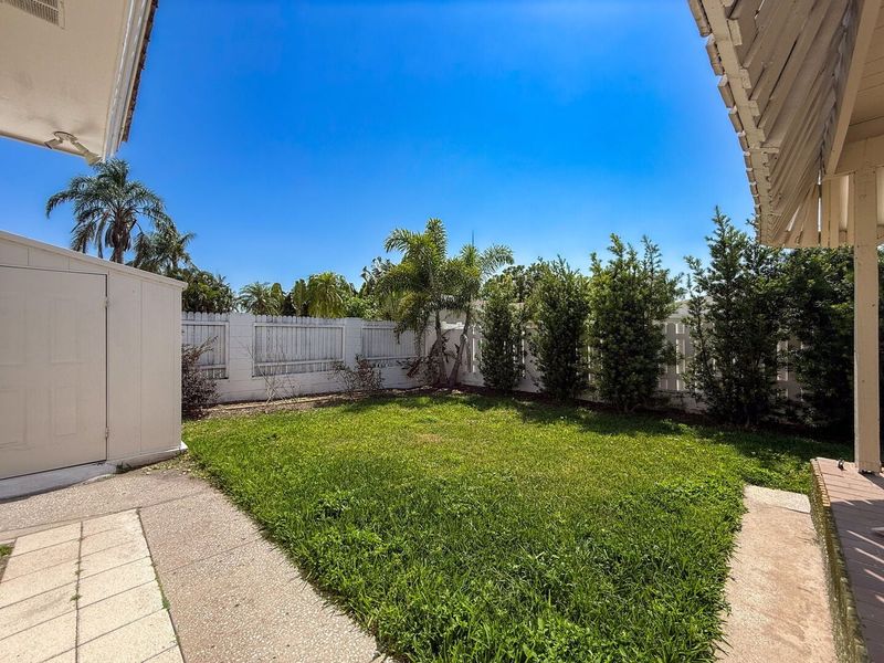 Backyard
