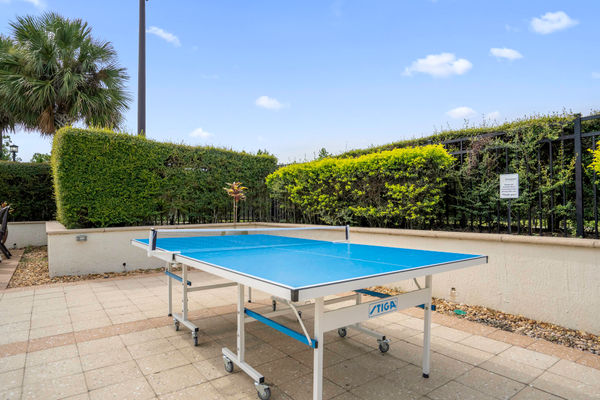 Pool/Patio Ping Pong