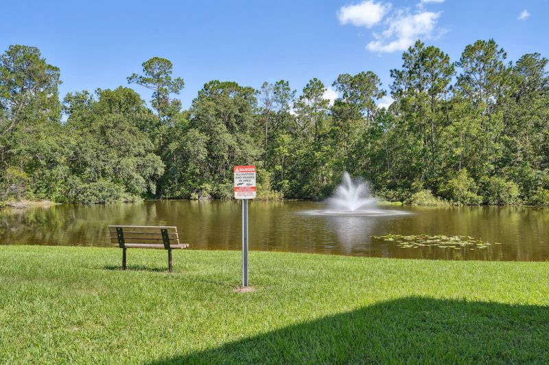 Pond