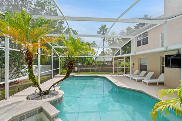 Pool / Lounging / 65" Roku TV