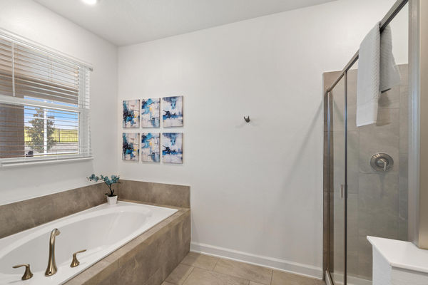 Master King Bathroom 1 Tub & Shower