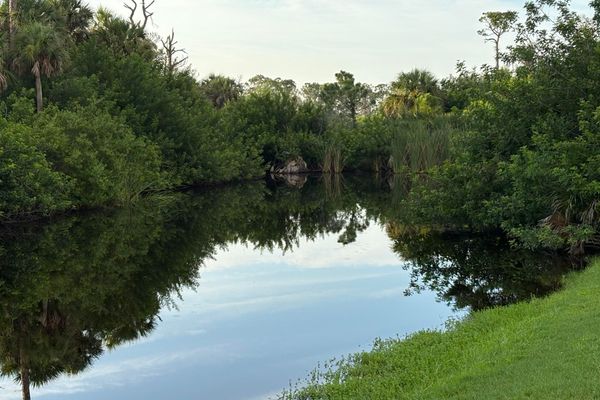 Small canal behind home