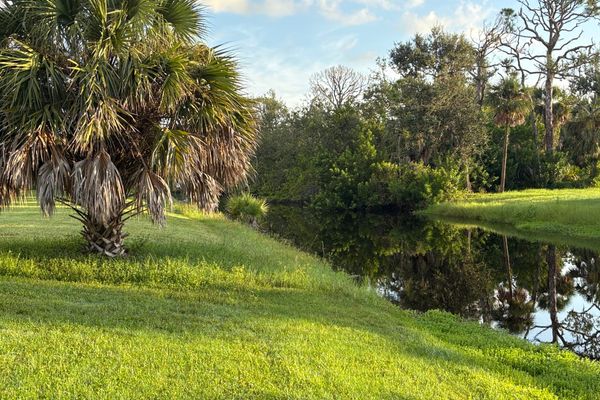 Small canal behind home