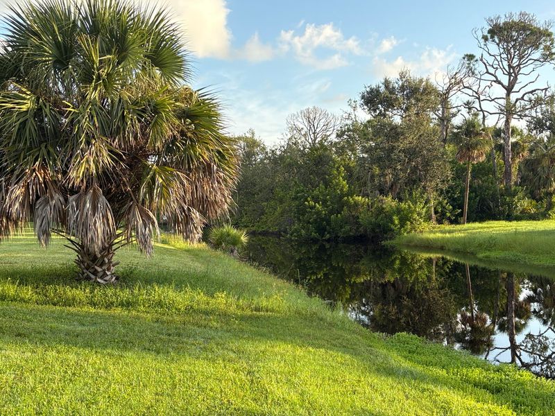 Small canal behind home