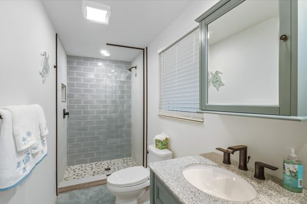 Guest bathroom with walk-in shower