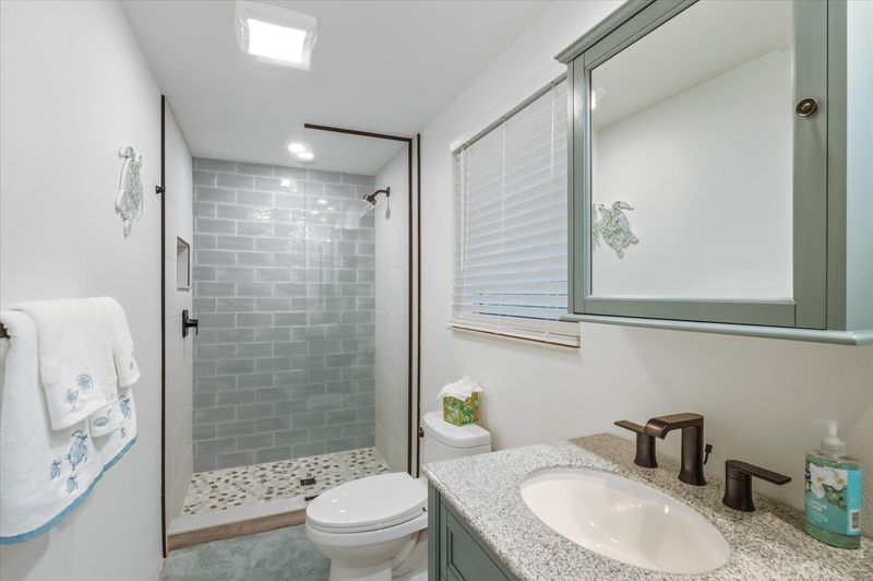 Guest bathroom with walk-in shower
