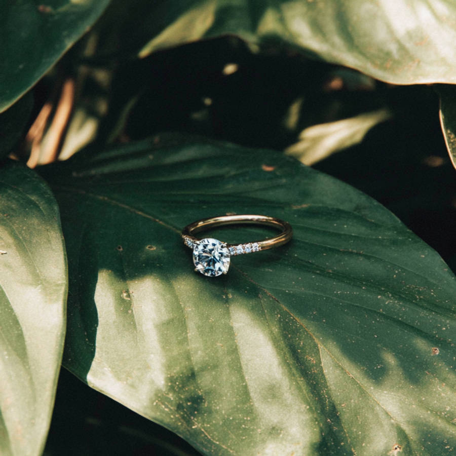 Bespoke solitaire diamond engagement ring with pavé band resting on a sunlit green leaf.