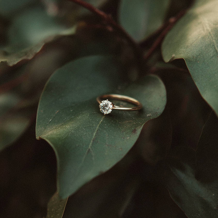 Bespoke solitaire diamond engagement ring resting on a dark green leaf in soft, moody natural light.