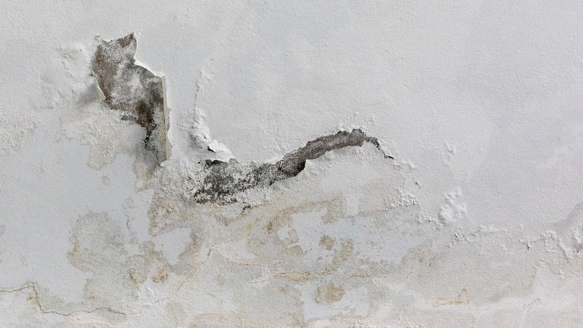 Ceiling Water Damage Repair in Tebbetts, MO