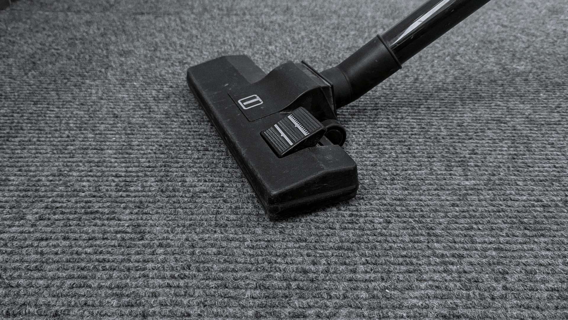 Carpet Water Damage Cleanup in Dover, MN