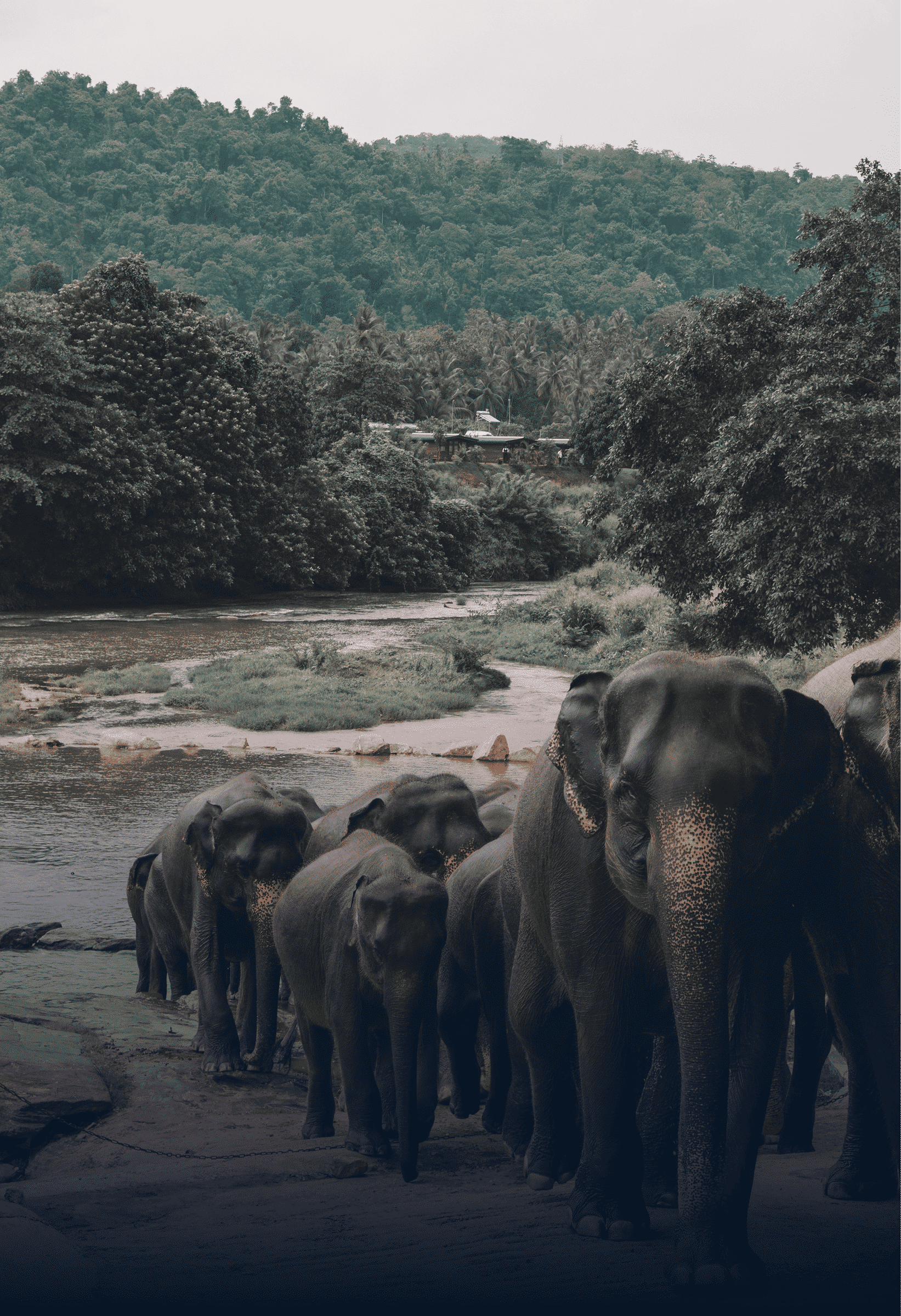 Sri Lanka