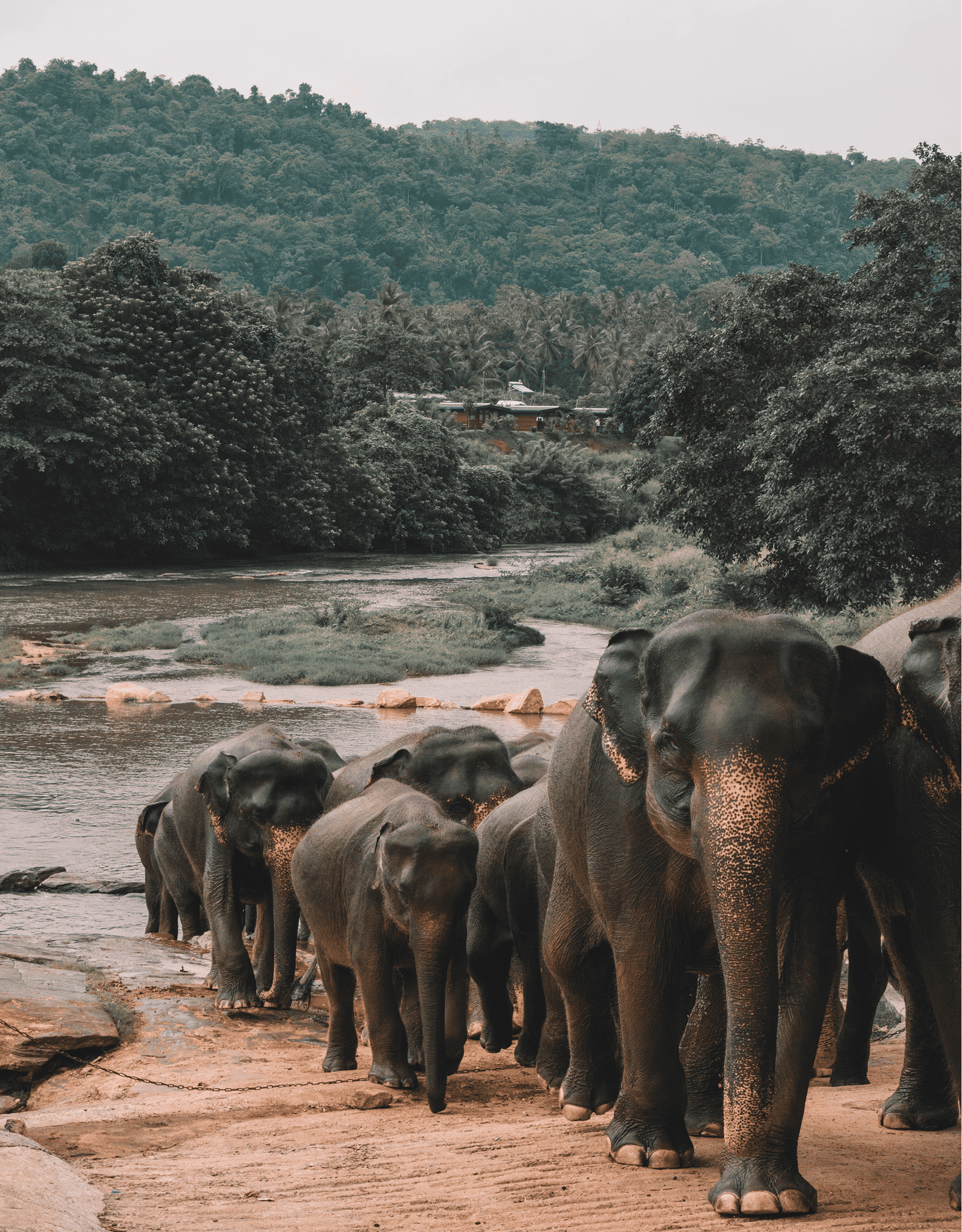 Sri Lanka