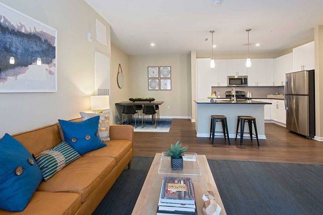 Somers Suites