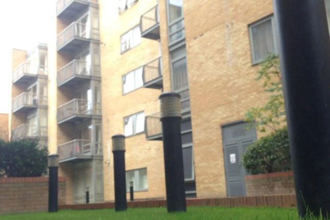 Vivid Apartments