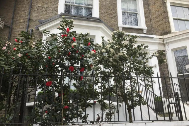Luxurious Apartment in Kensington & Chelsea