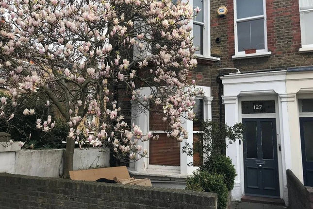 Apartment With Garden Maida Hill