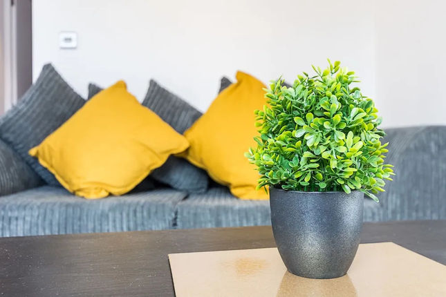 CDP Apartments Kentish Town 2
