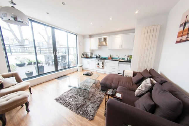 Bright and Spacious Apartment With Terrace
