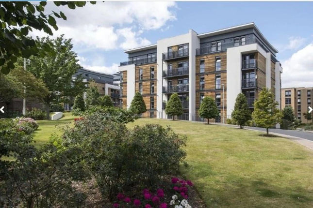 Charming 1 Bedroom Flat in East Putney