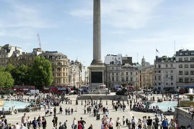 Still Life Trafalgar Square