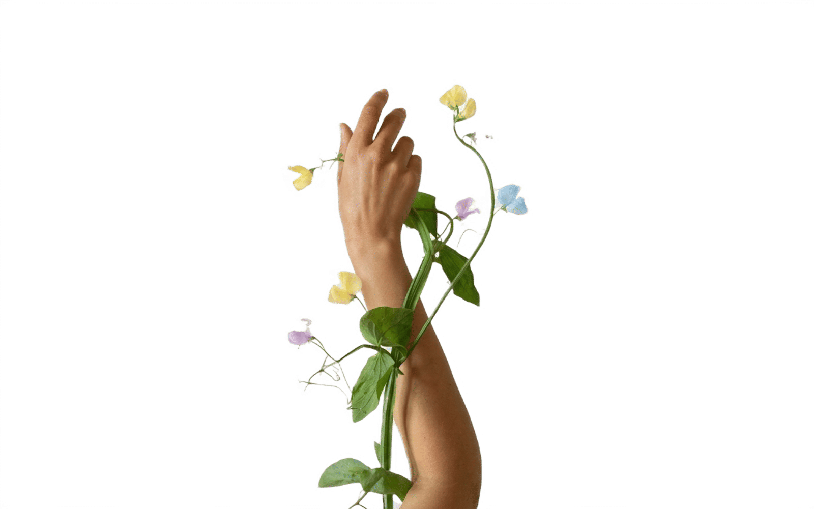 Hand holding flowers