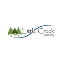 Suboxone Doctor Little Creek Recovery in Lake Ariel PA