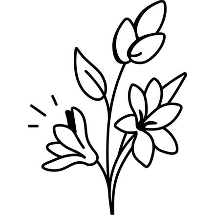 Tuberose