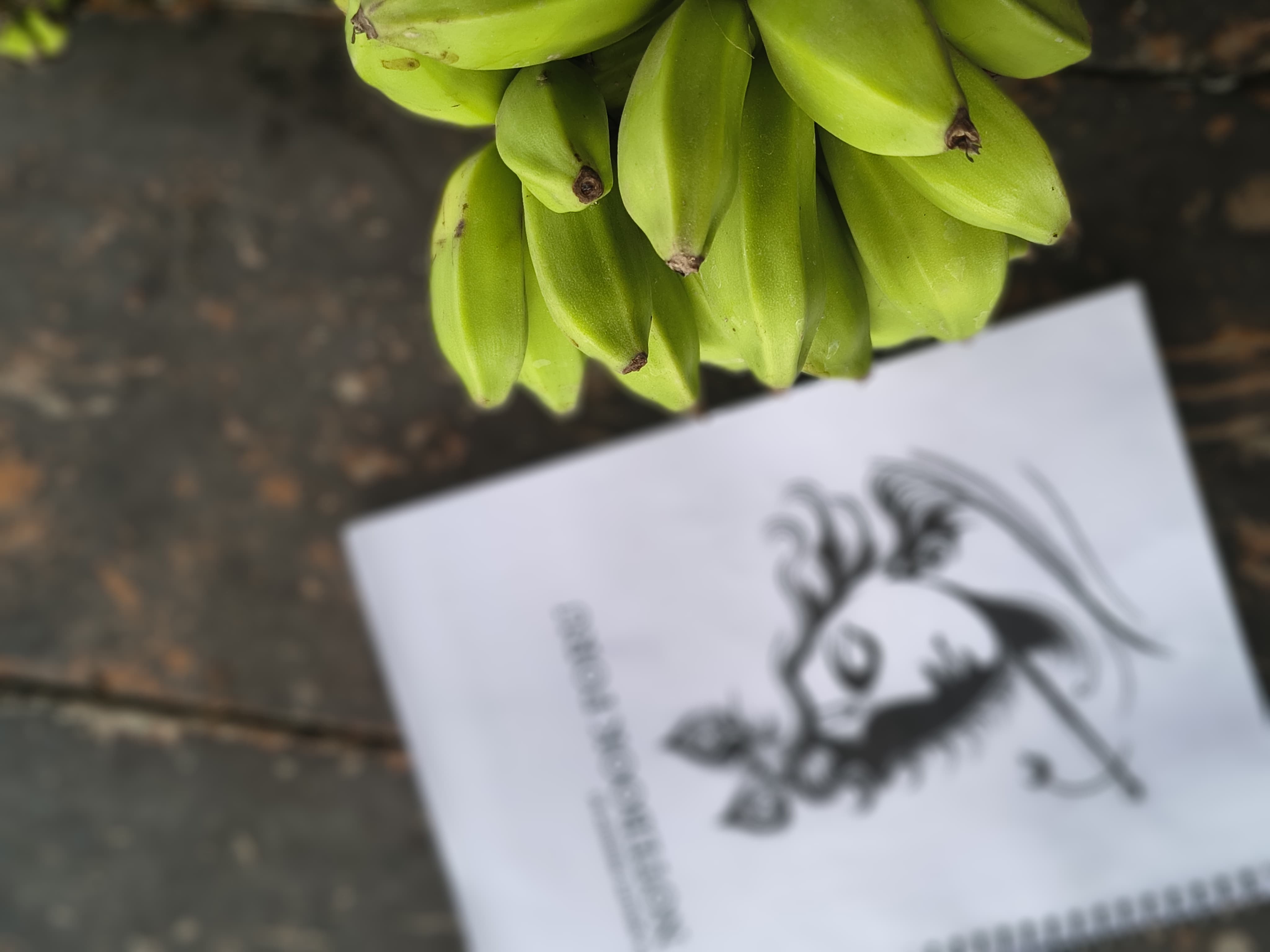 Notebook | Lord Krishna - Image 1