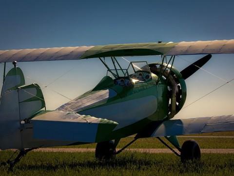 1931 FLEET, GOLDEN AGE BIPLANE for sale
