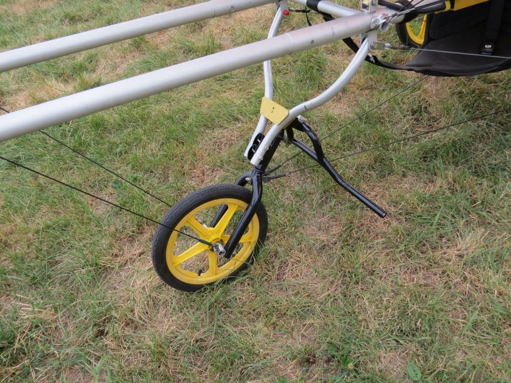 1984 Pterodactyl Ascender 2