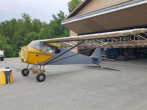 Project 1941 Taylorcraft aircraft for sale