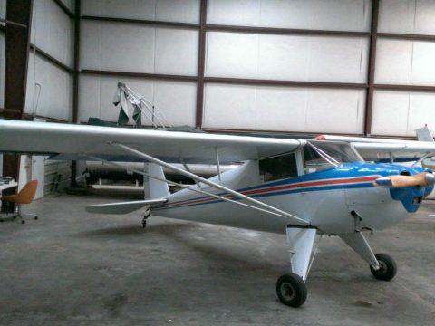 low time 1946 Luscombe 8A Light Sport Airplane aircraft for sale