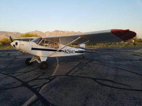 hangared 1953 Piper PA 18 105 Special Supercub aircraft for sale