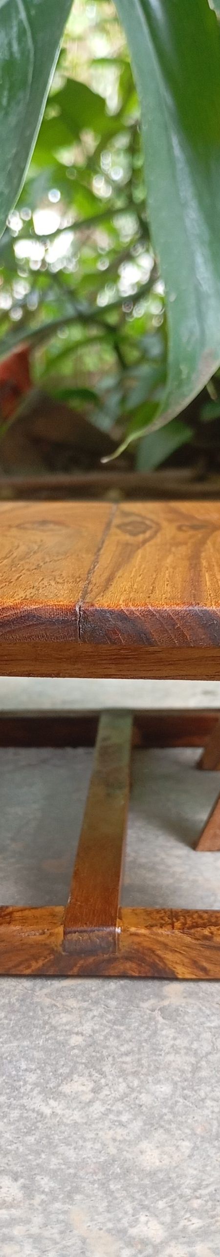 Live Edge Low Teakwood Miniature Table 1:10