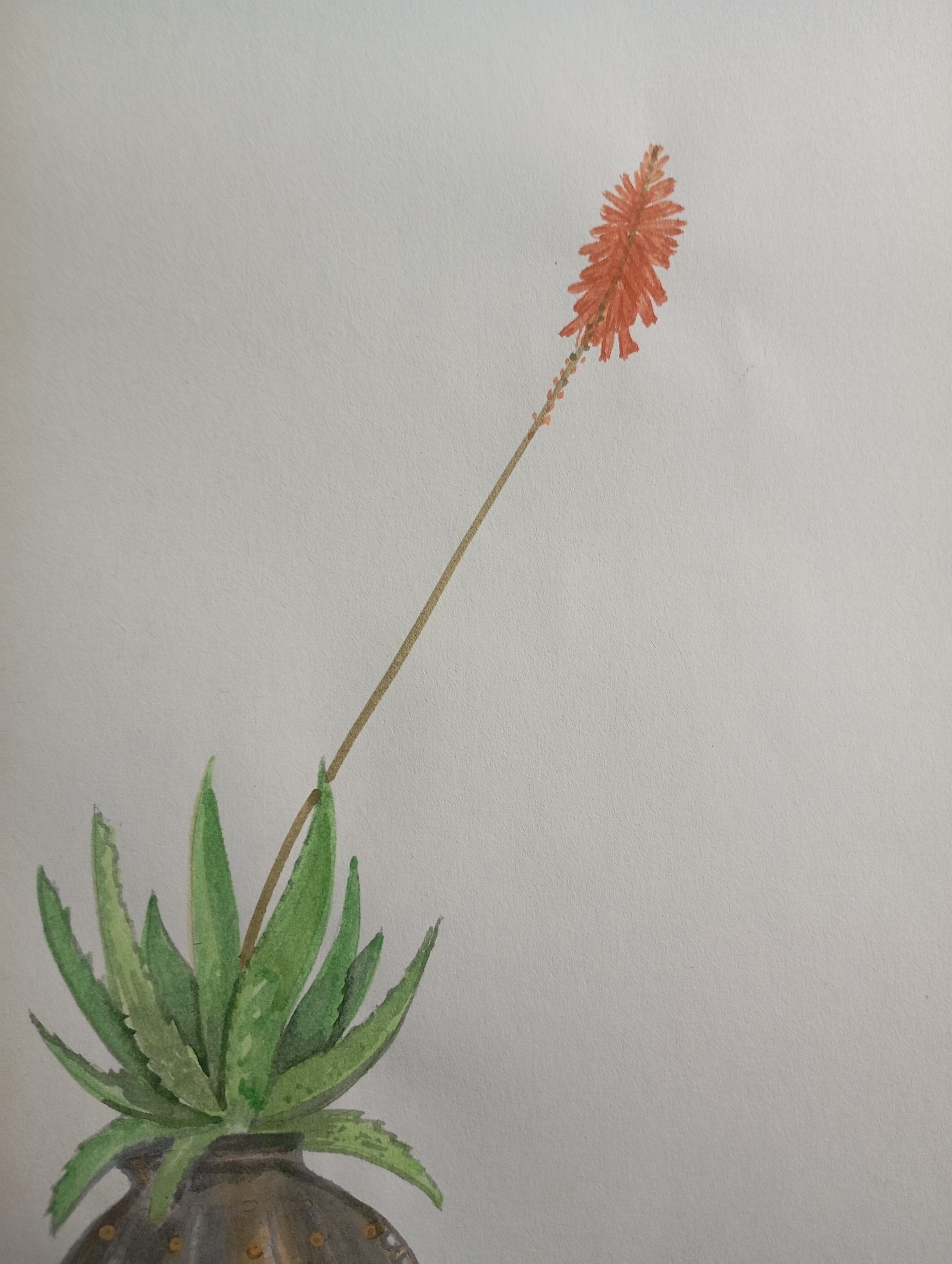 Aloe Vera Succulent antique planter grounded handmade watercolor painting - Image 3
