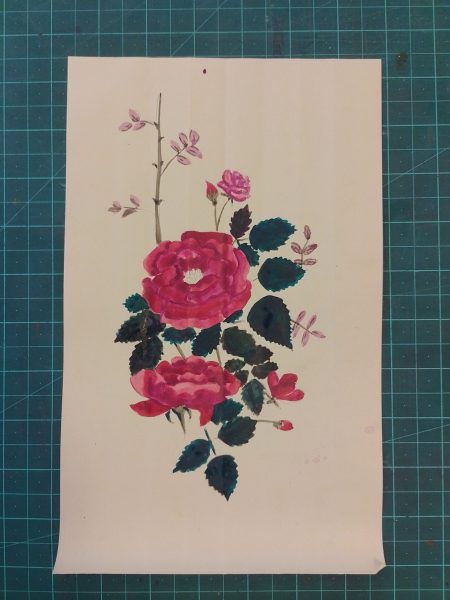 Musk Rose Rosa Moschata Desi Gulab Botanical Illustration Handmade Painting