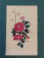 Musk Rose Rosa Moschata Desi Gulab Botanical Illustration Handmade Painting