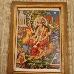 Framed Vintage Print of Bahucharji Ma, devotional hindu goddess