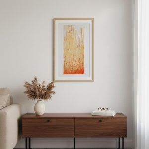 Playing with Orange - Creative Garden