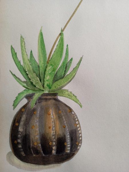 aloe vera in vintage pot