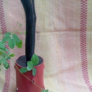 Sacred Strength - Wooden leather wrapped mugdal dedicated to Shakti