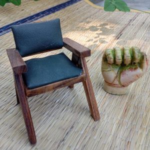 chandigarh chair