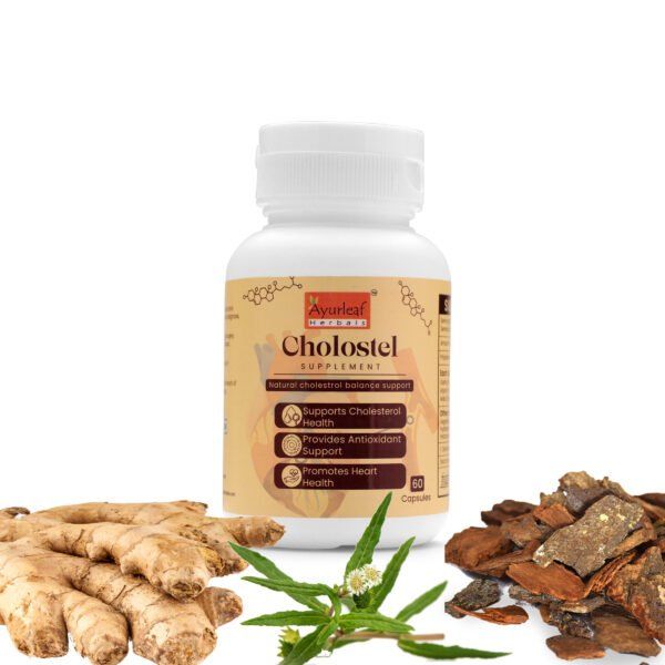Cholostel Extract Blended Capsules 450mg |  60 Capsules Vegan Pack