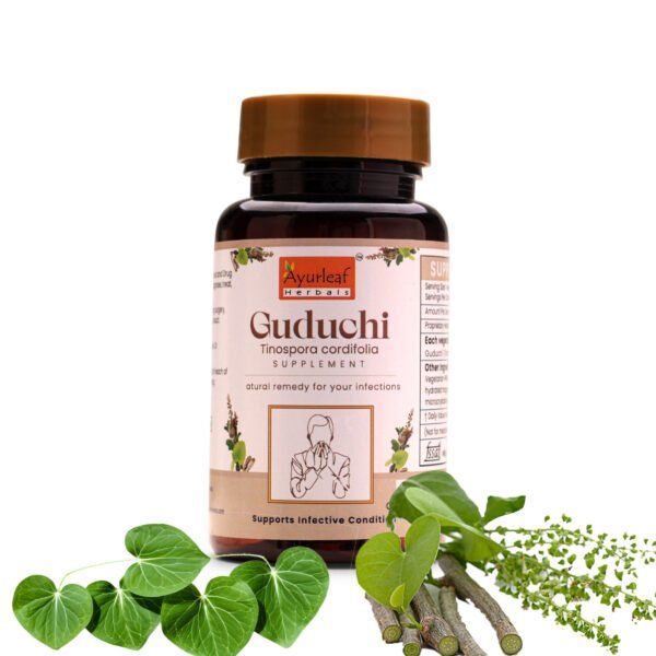 Guduchi Extract Blended Capsules 500mg |  60 Capsules Vegan Pack