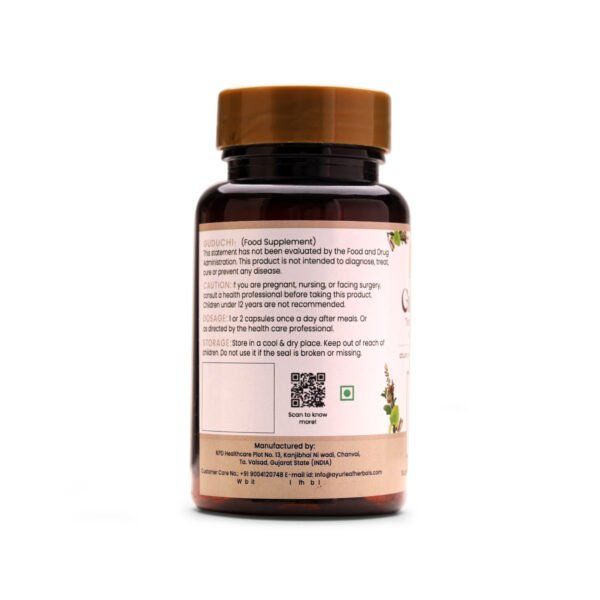 Guduchi Extract Blended Capsules 500mg |  60 Capsules Vegan Pack - Image 3