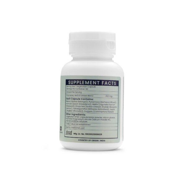Arthitex Extract Blended Capsules 450mg |  60 Capsules Vegan Pack - Image 4